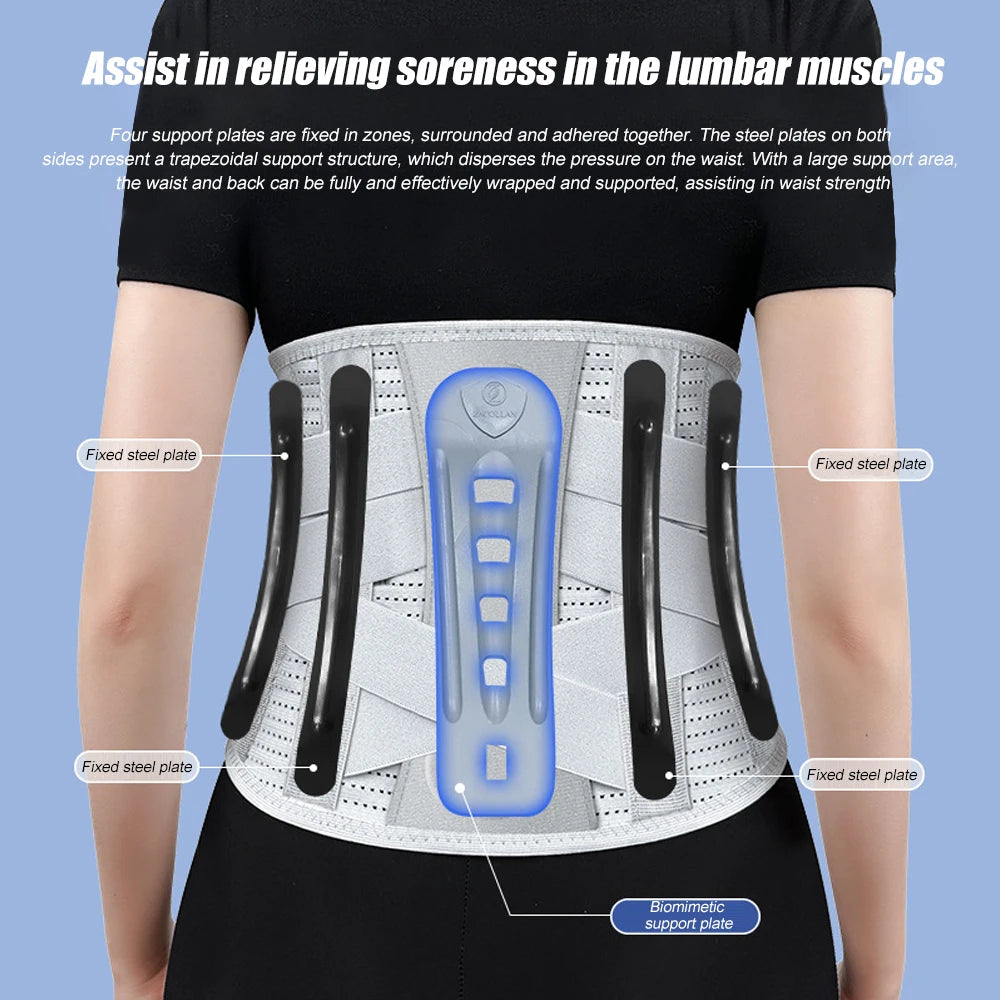 SpineGuard - Lumbar Support Belt