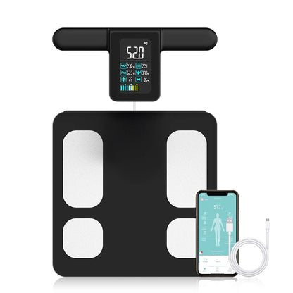 BodySense - Composition Scale