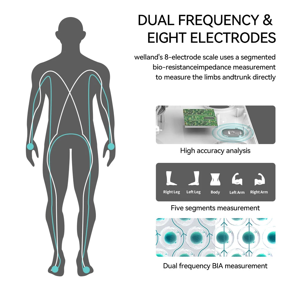BodySense - Composition Scale