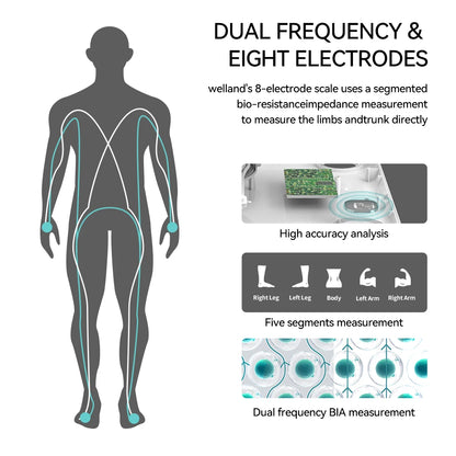 BodySense - Composition Scale